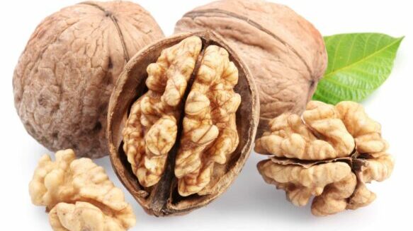 Alimentos para o sistema nervoso