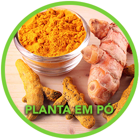 Planta em Pó